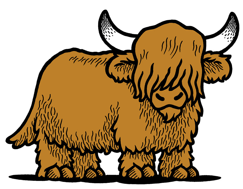 Focus Melted Coo