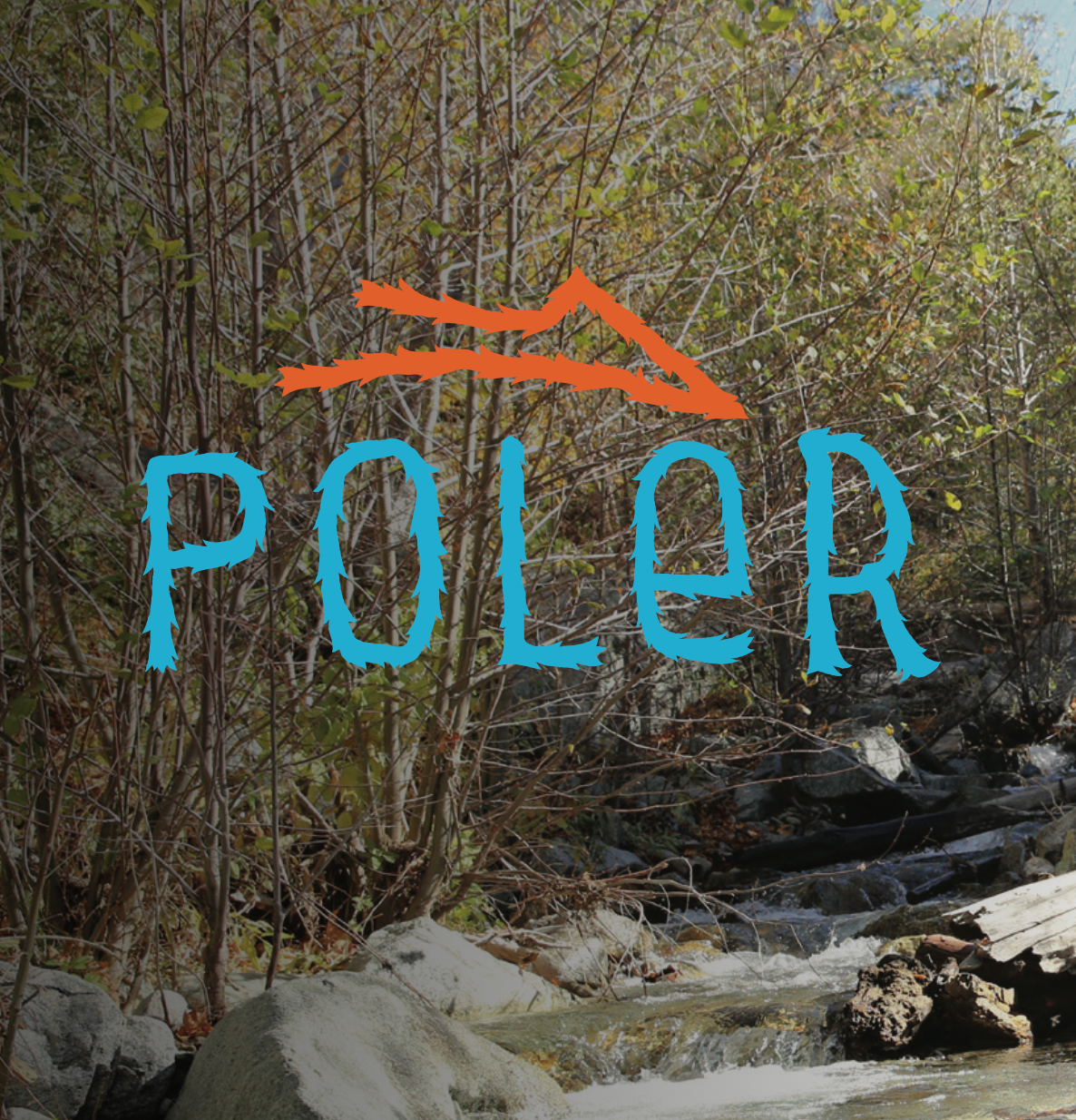 Lakai x Poler