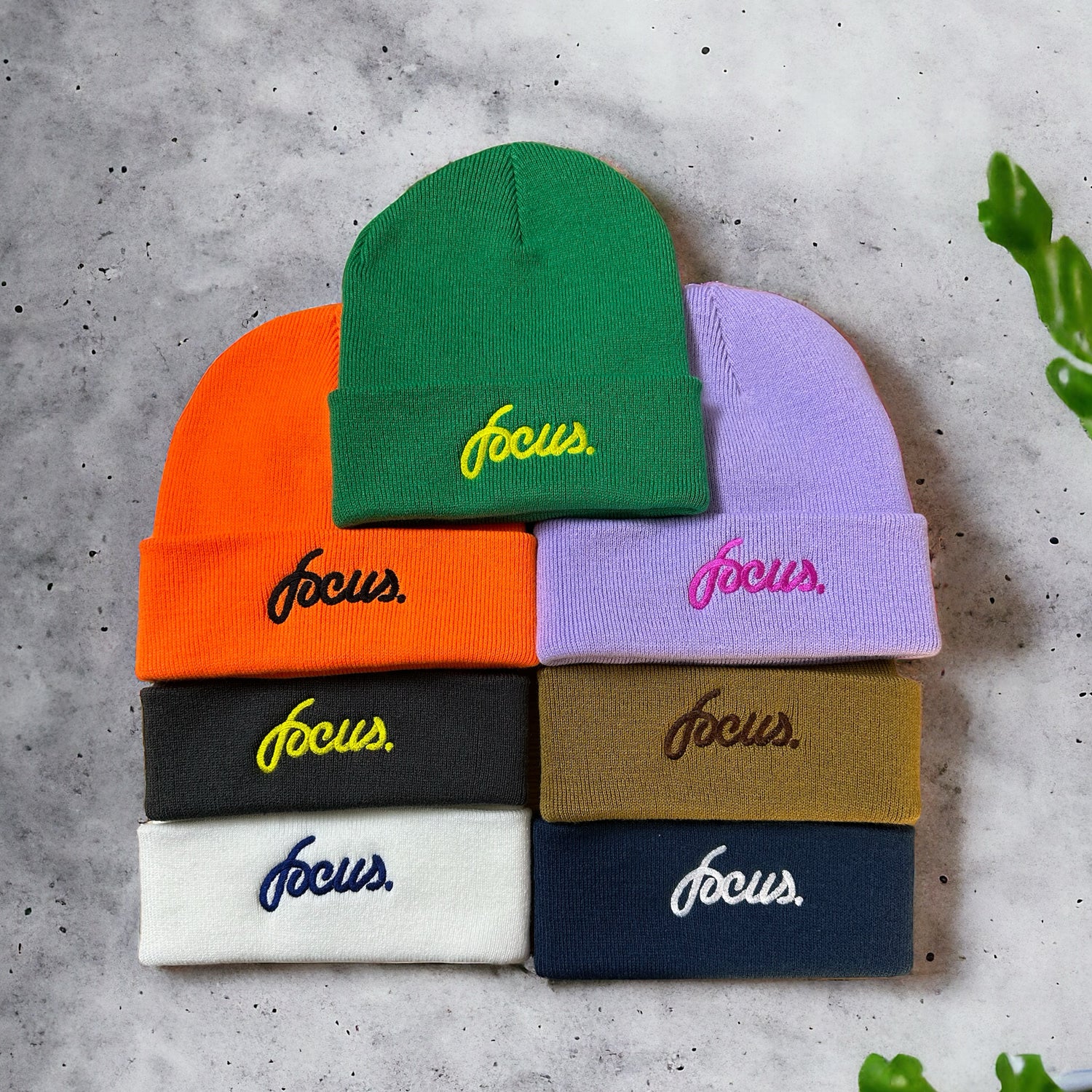 Focus Winter 24 Beanies