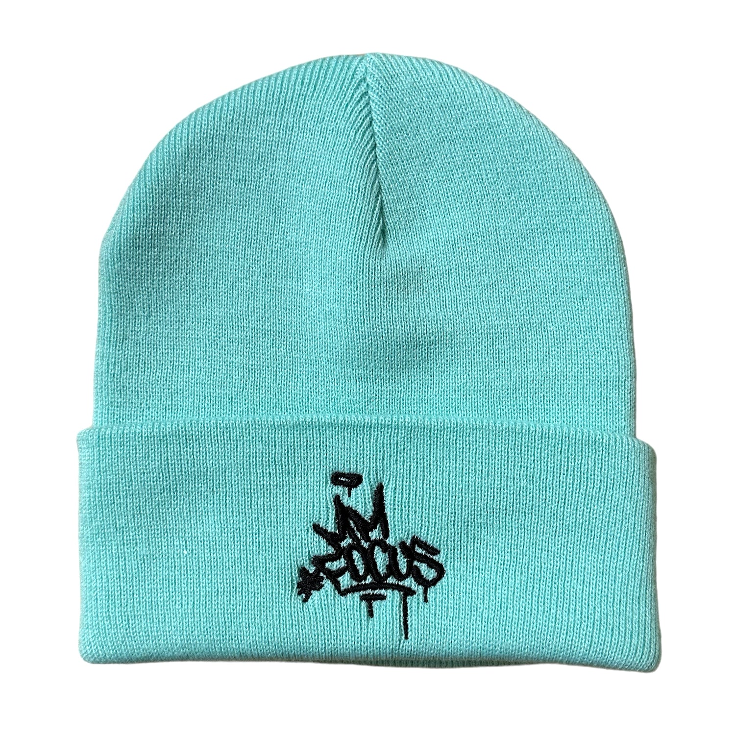 Focus MM Focus Beanie - Mint