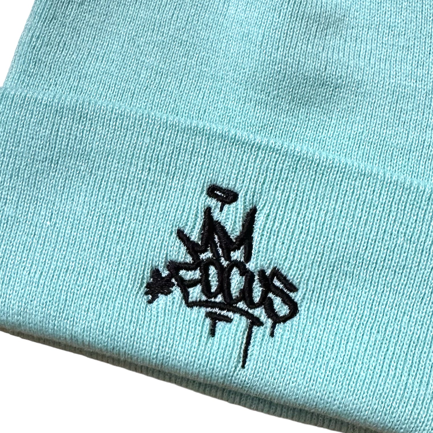 Focus MM Focus Beanie - Mint