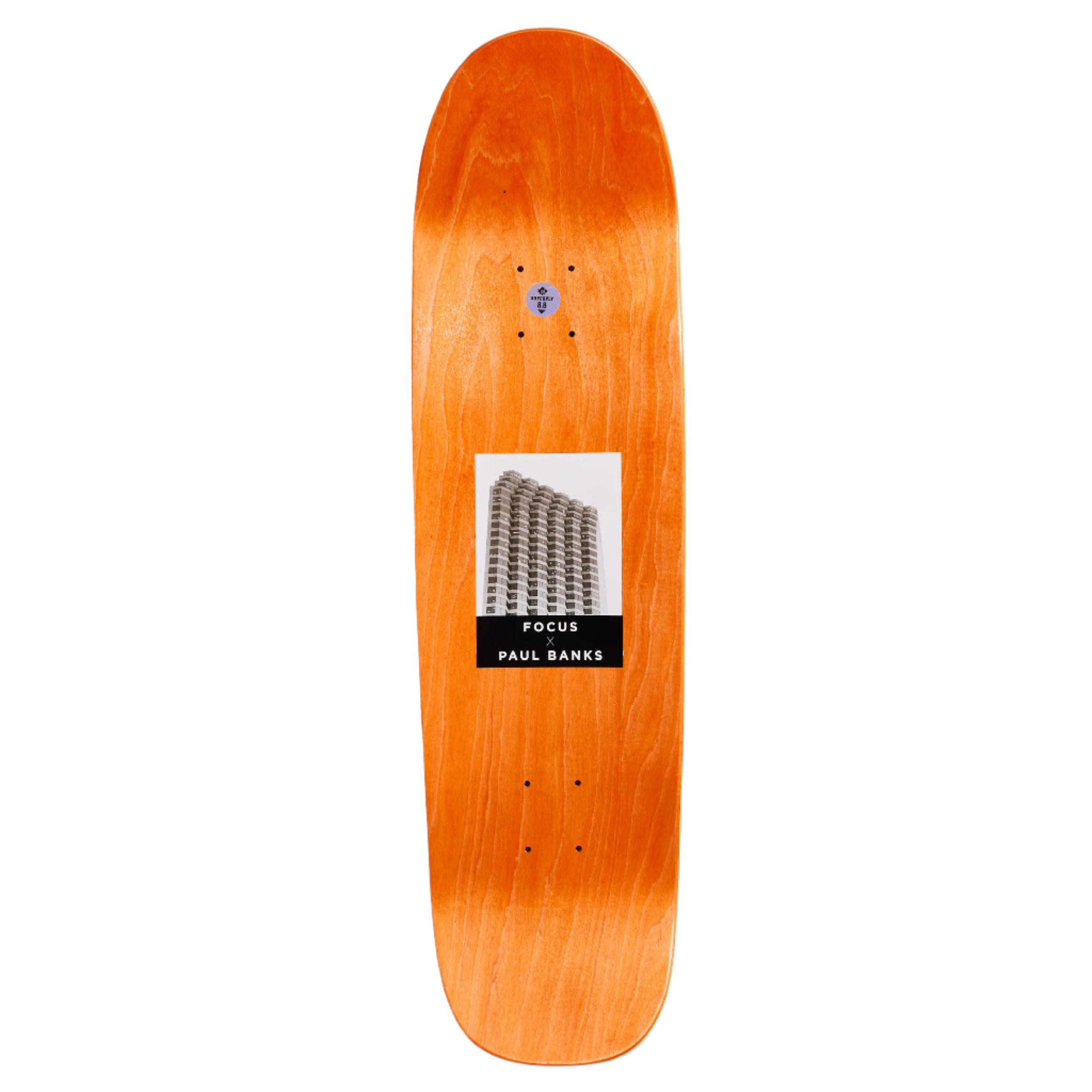 Focus x Paul Banks New Orleans Deck - 8.8" Shovel Tail Shape
