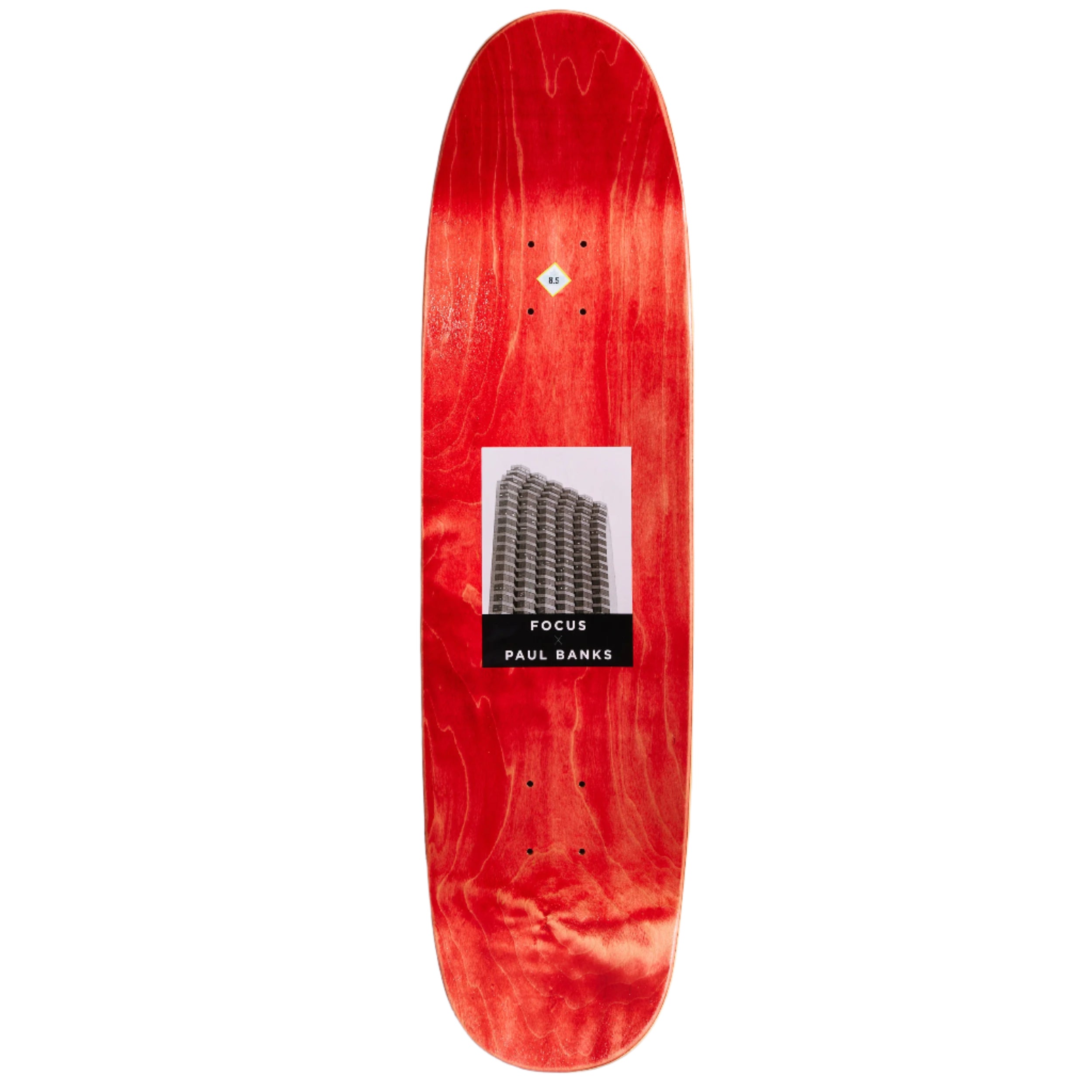 Focus x Paul Banks New Orleans Deck - 8.5" Football Shape