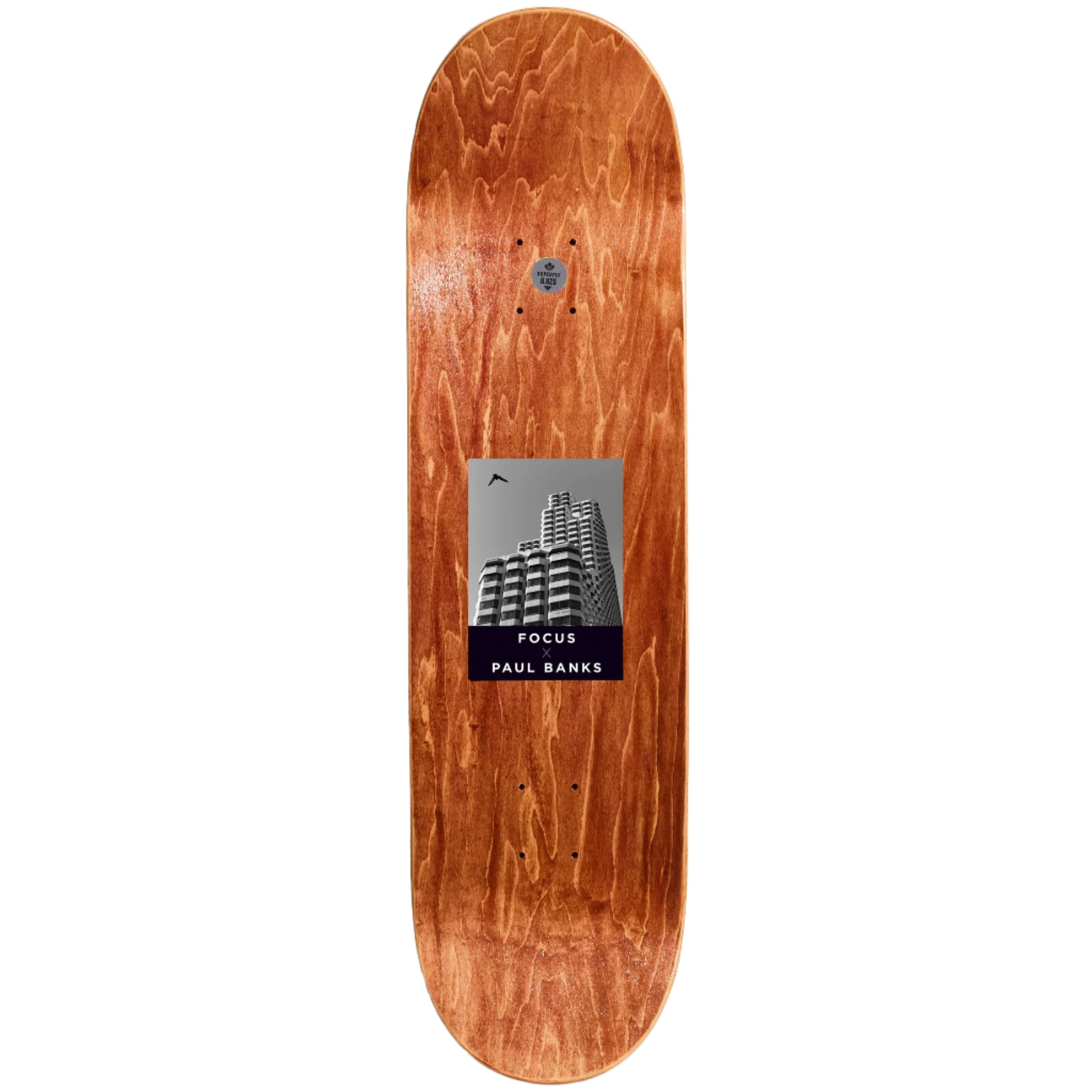 Focus x Paul Banks San Francisco Deck - 8.625"