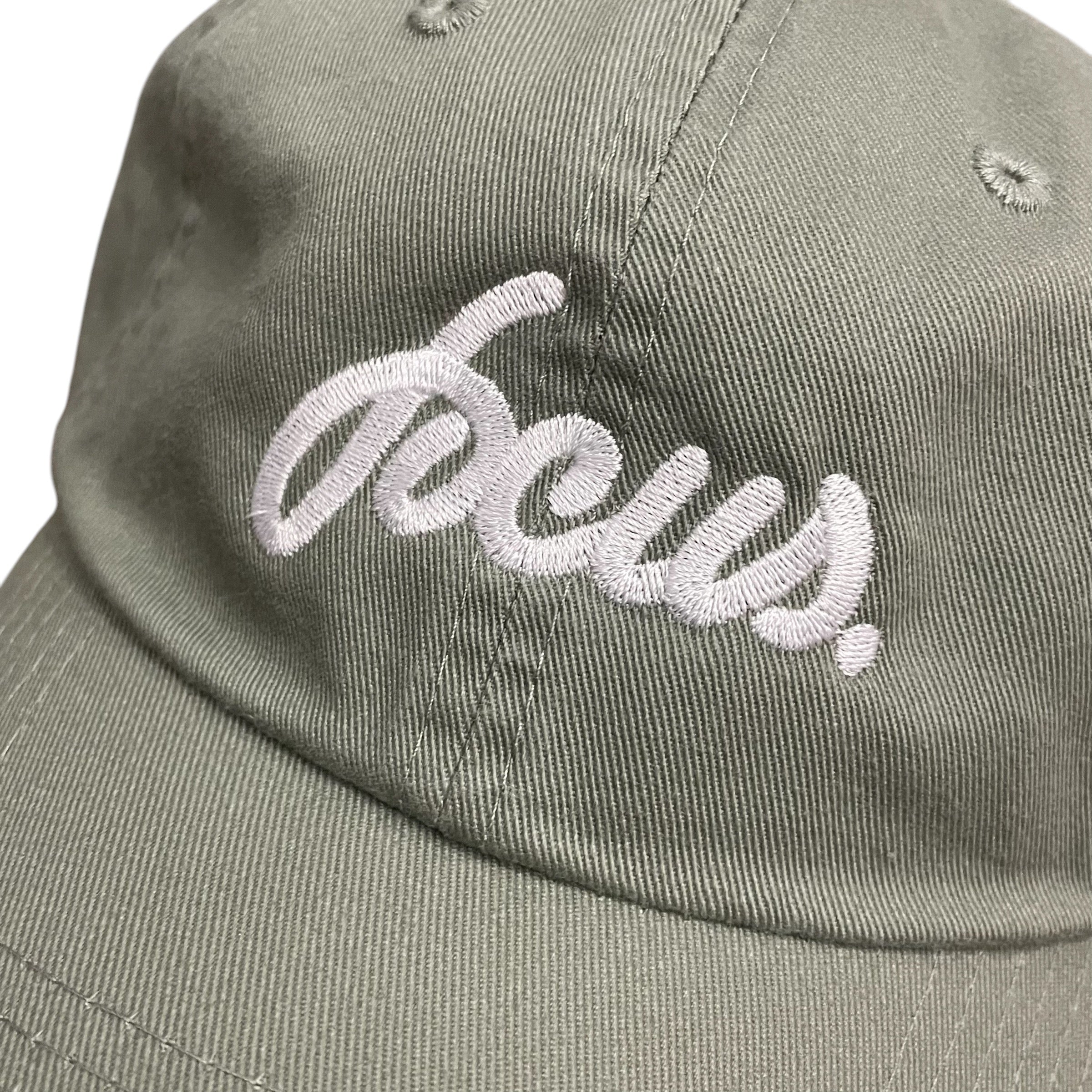 Focus Script Logo Dad Cap - Sage/White